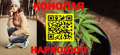 каннабис Новодвинск