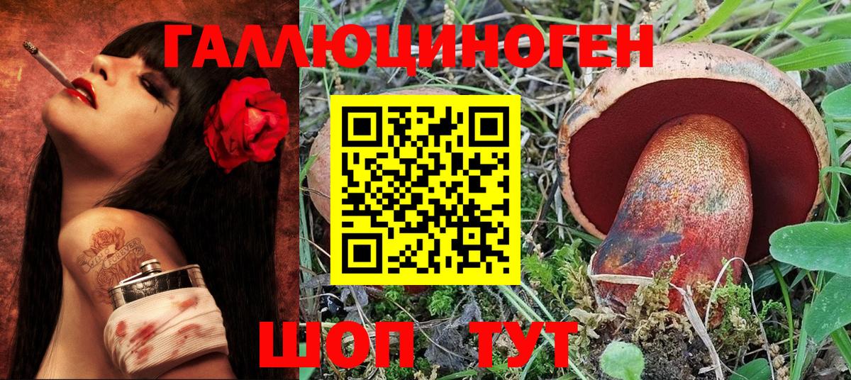Галлюциногенные грибы Psilocybine cubensis Тихвин