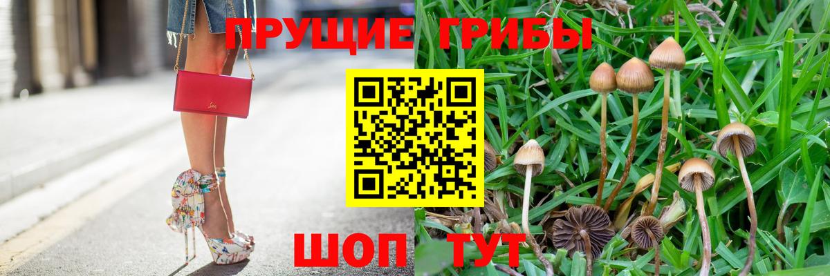 Галлюциногенные грибы Psilocybine cubensis  Вход с VPN  Тихвин 